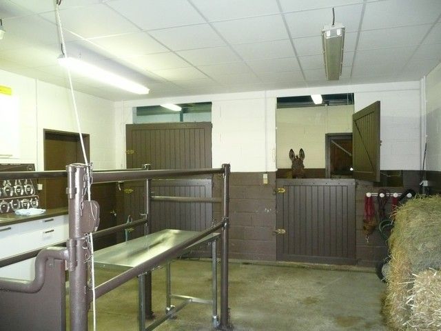 Balthazar et leonard Arrivee (12).jpg